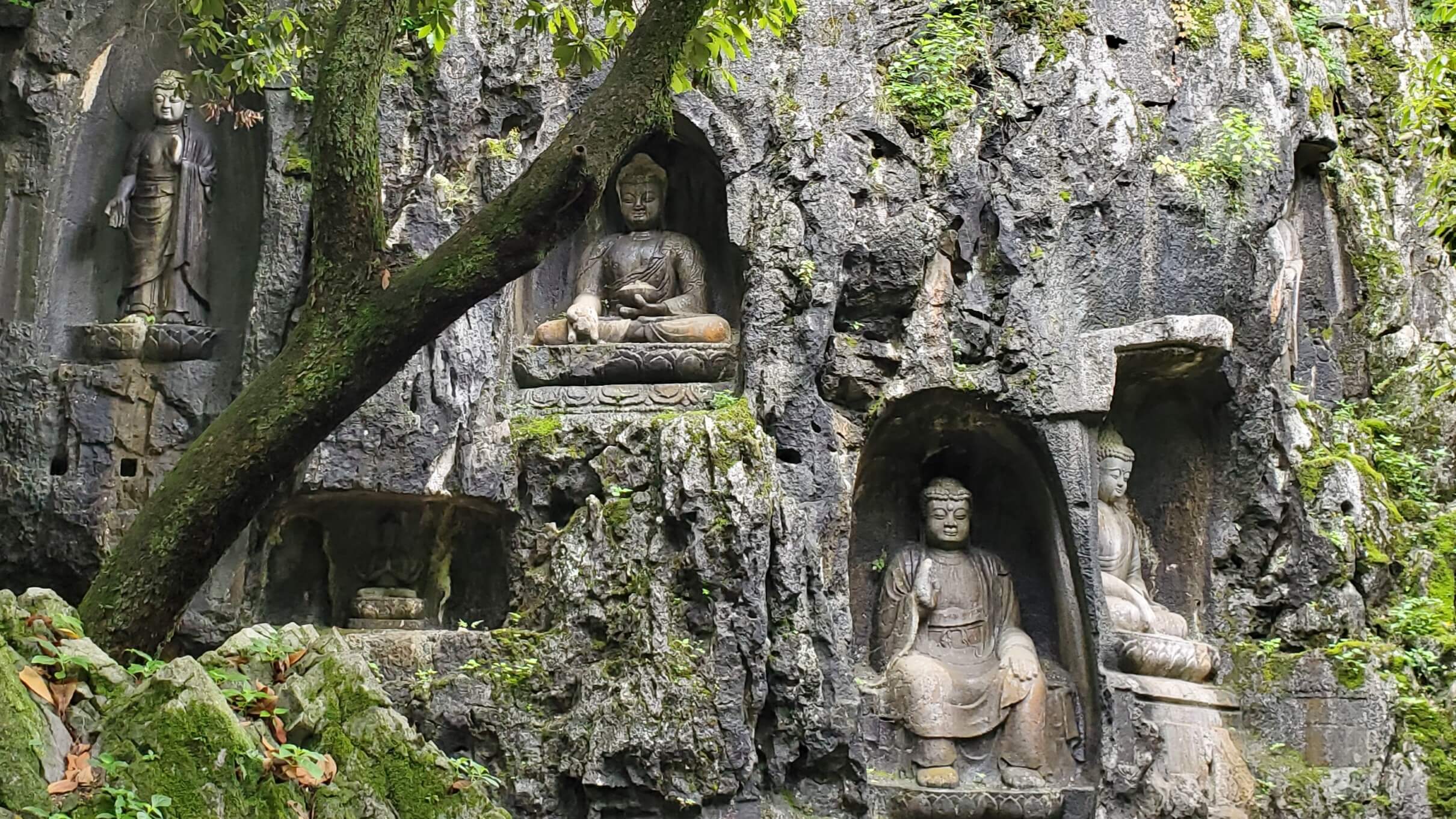 Feilan Feng Grotas / Feilan Feng Grottoes